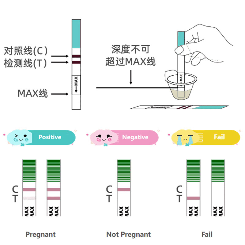 HCG Urine Test Dipstick Instructions